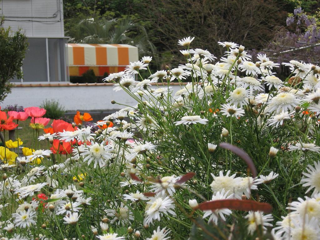 Hillside Inn Sirocco Tateyama  Esterno foto